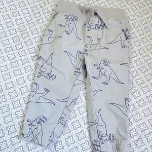 Dinosaur pants